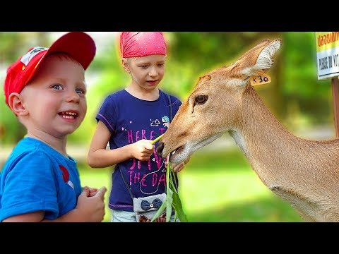 Family Box Vlog Новые Серии 2022 Года Family Box Vlog Новые Серии 2022 Года